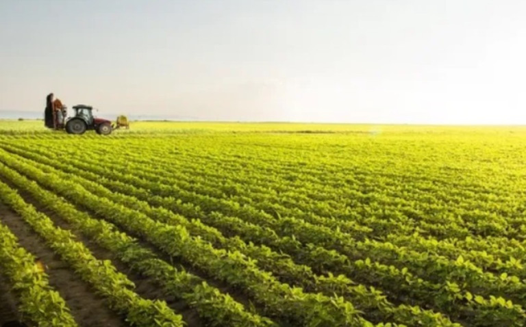 Com Mato Grosso na liderança, Valor Bruto da Produção Agropecuária chega a R$ 1,148 trilhão