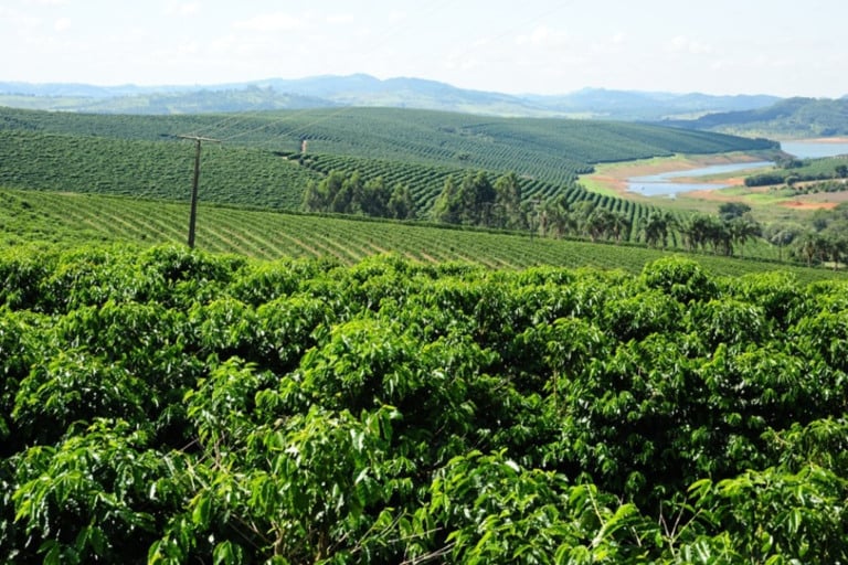 Exportações do agronegócio mineiro alcançaram US$ 9,49 Bi em 2023