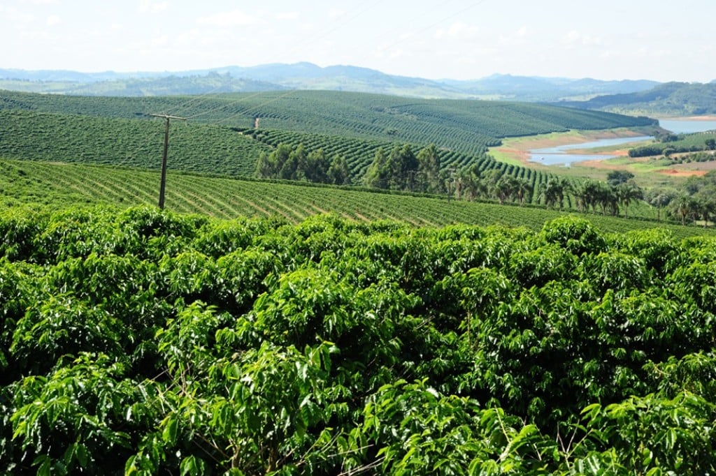 Exportações do agronegócio mineiro alcançaram US$ 9,49 Bi em 2023