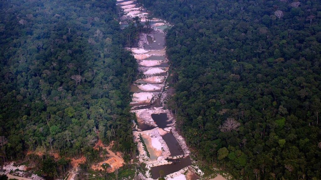 Países ameaçam barrar produtos brasileiros devido ao desmatamento na Amazônia