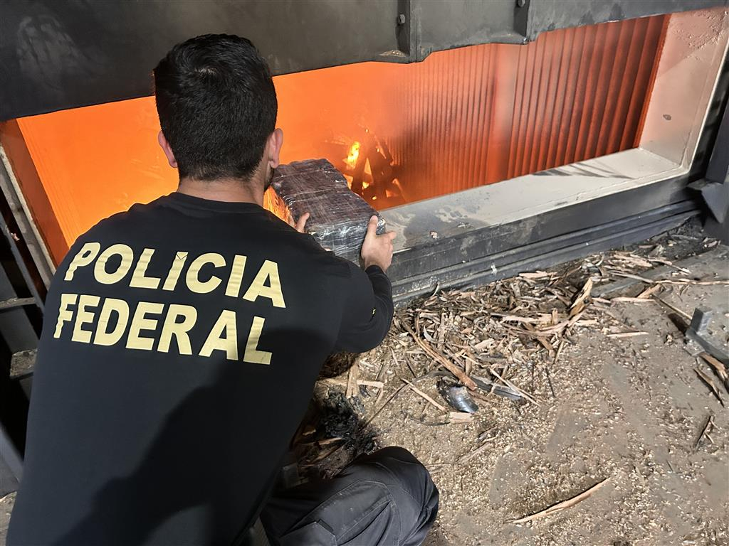 PF destrói 4,8 toneladas de maconha apreendidas em Marília e região