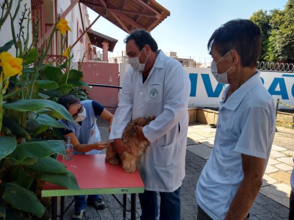 Marília terá vacinação de cães e gatos na sexta e sábado. Exige cadastro