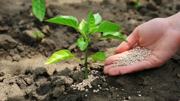 Jordânia quer enviar mais insumos de fertilizantes ao Brasil