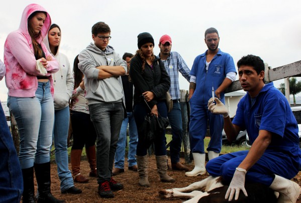 Unimar leva estudantes de veterinária para aula prática em Dia de Campo