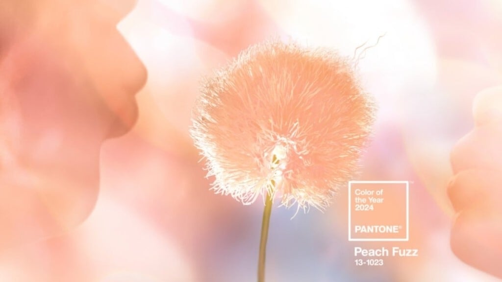 Aline Mendes Cor Pantone 2024: Como usar Peach Fuzz no Feng Shui para potencializar energias