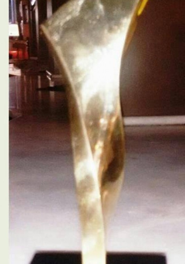 “O Circo” institui troféu “Marina Betti Cézar” para destaques de ações sociais