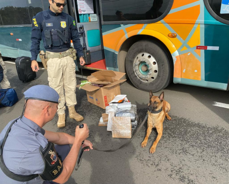 Operação na BR-153 apreende maconha e roupas contrabandeadas
