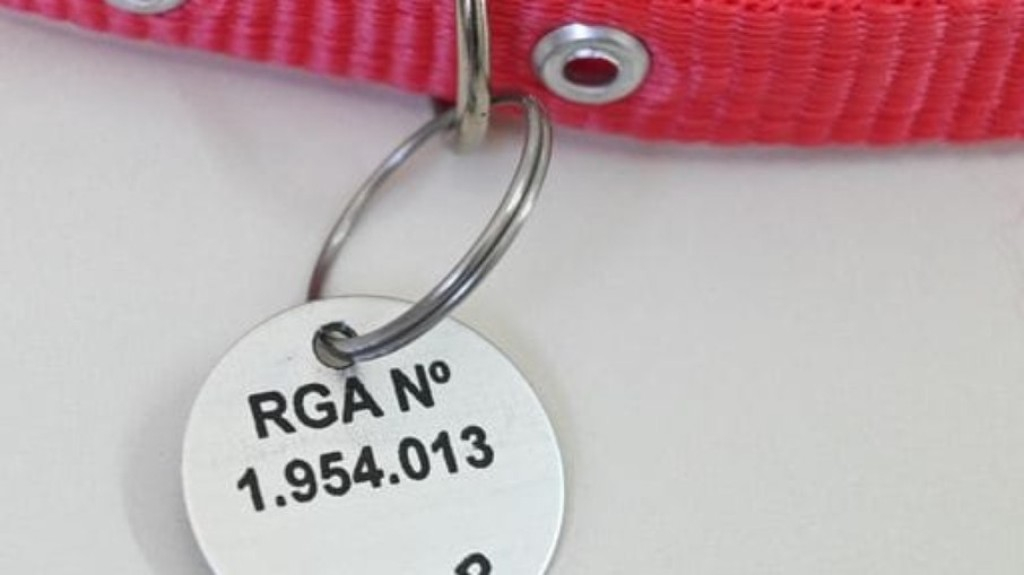 Registro online de animais faz um ano em SP com 137 mil cadastros Registro online de animais faz um ano em SP com 137 mil cadastros