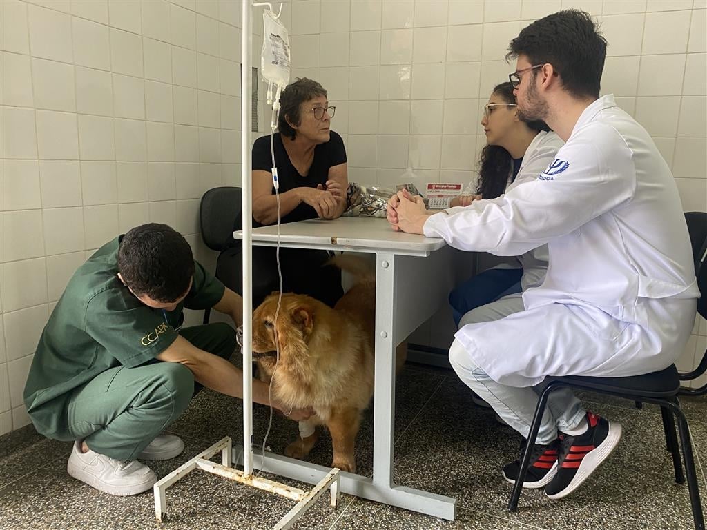 Hospital Veterinário da Unimar inova e agrega psicologia para acolher tutores com animais em tratamento