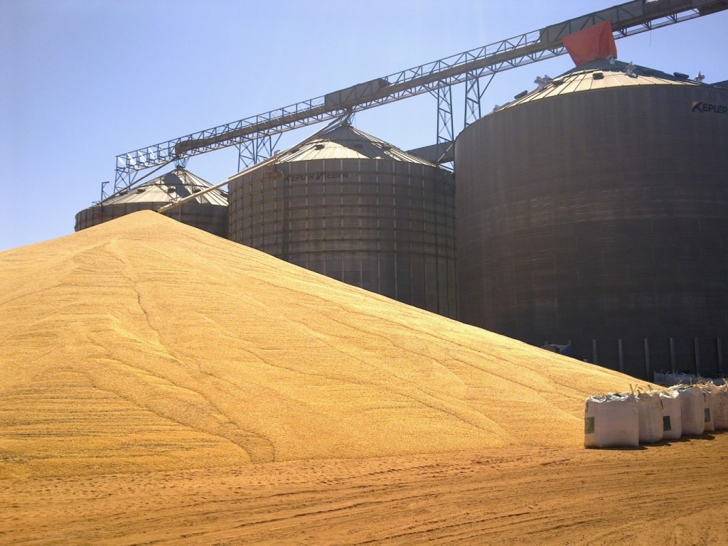 Lideranças rurais dizem que reduzir umidade da soja trará R$ 6 bi de prejuízos aos produtores