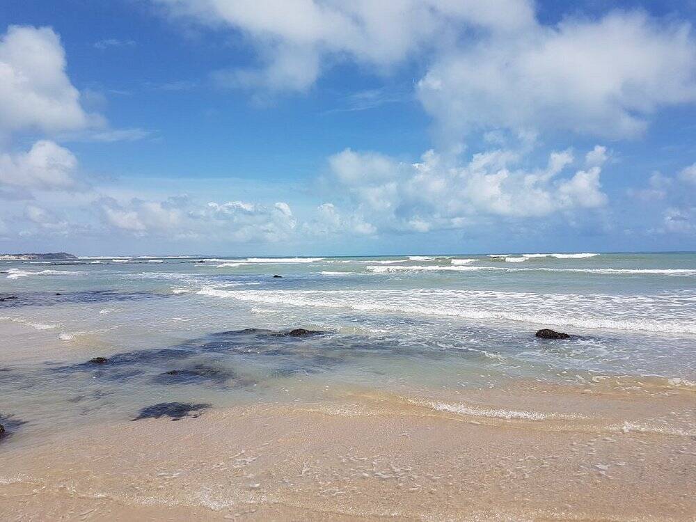 Baía dos Golfinhos está localizada no Rio Grande do Norte. Foto: TripAdvisor