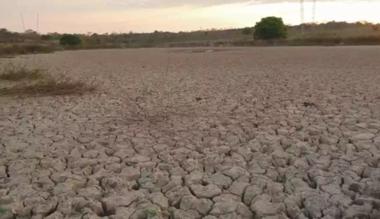 Por conta da seca, Minas Gerais se prepara para ano desafiador