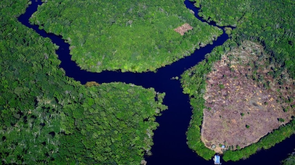 Governo diz que desmatamento na Amazônia caiu 11,27% em 2022