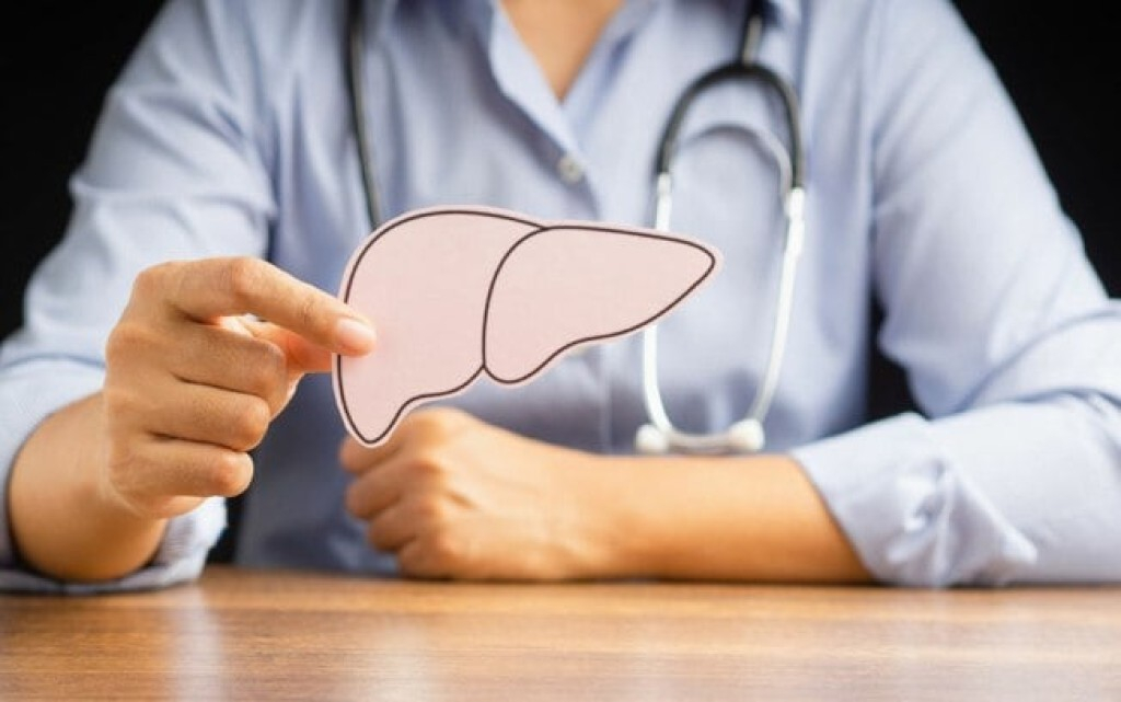 Fígado: conheça as funções e as doenças que afetam o órgão