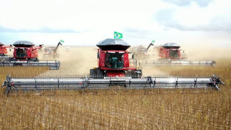 Colheita de soja em Mato Grosso atinge quase 100% da área plantada