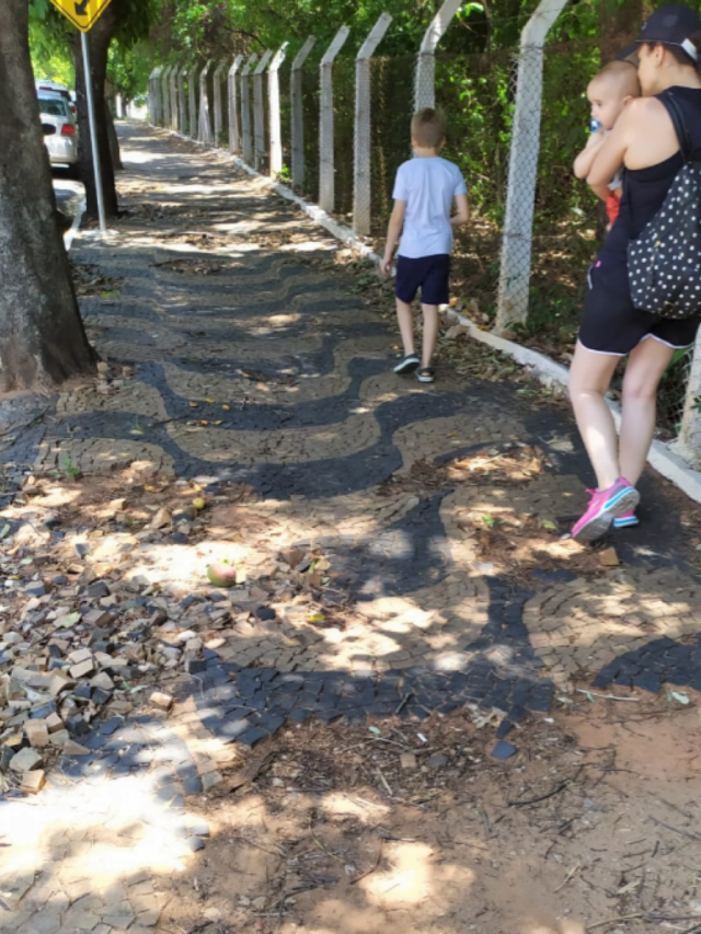 Bosque de Marília tem desafios em buracos e brinquedos quebrados