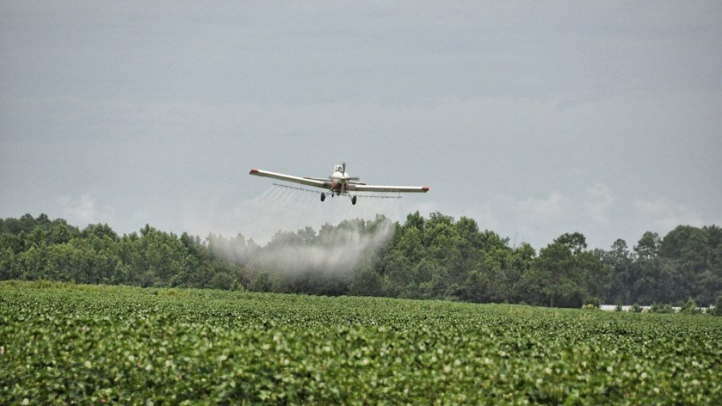 Agrotóxicos nas comidas e bebidas; Entenda o risco para a saúde