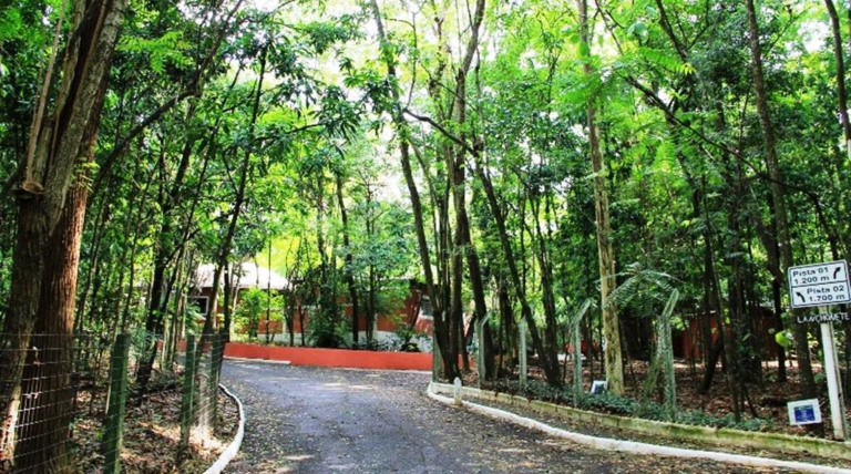 Revitalização do Bosque terá contrato para playground inclusivo e academia