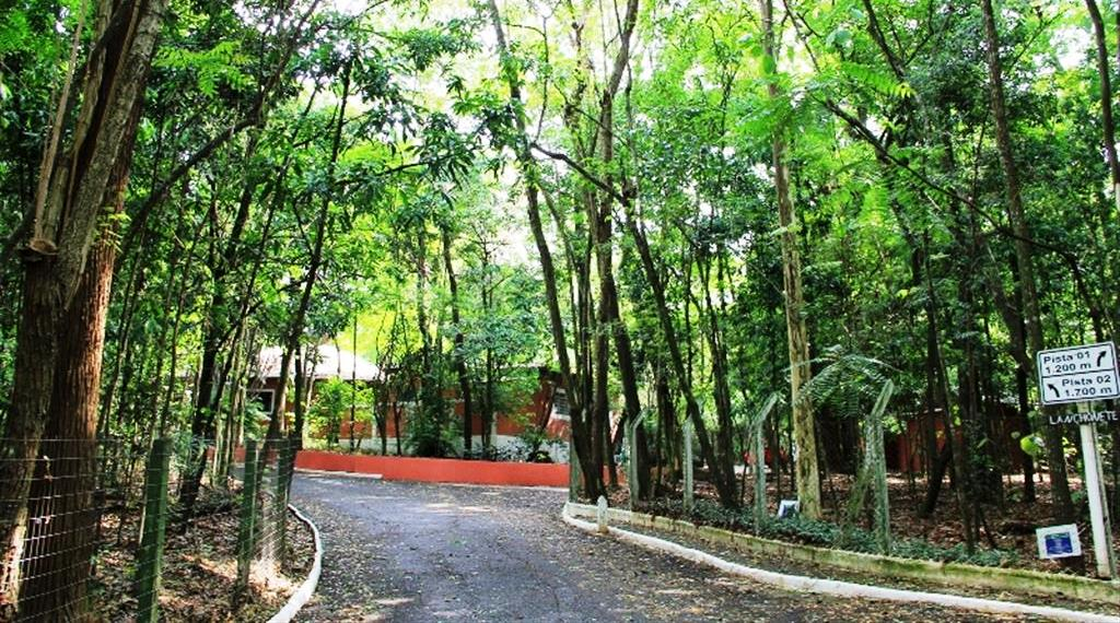 Revitalização do Bosque terá contrato para playground inclusivo e academia