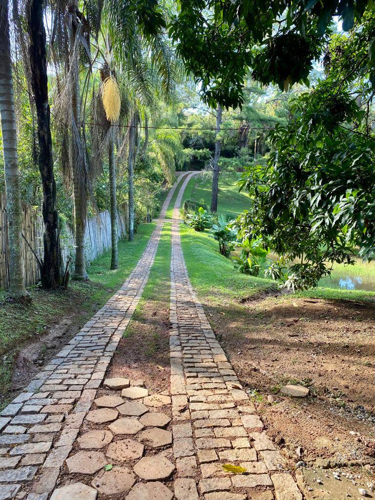 Trilha entre as árvores . Foto: Divulgação