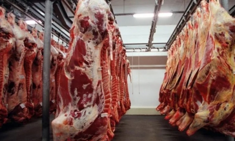 Abates em Mato Grosso bateram recorde em fevereiro, segundo o Imea