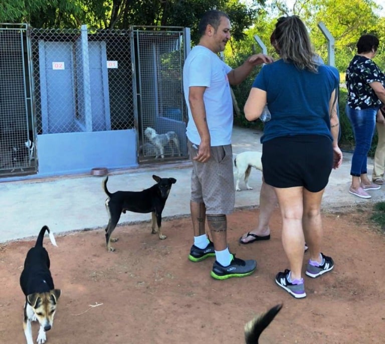 Abrigo de animais em Marília leva protetores para conhecer estrutura