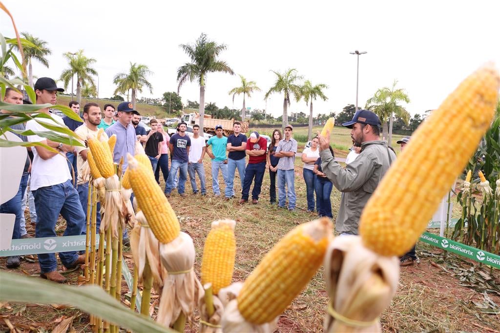 Engenharia Agronômica da Unimar realiza o 1º Dia de Campo do Milho