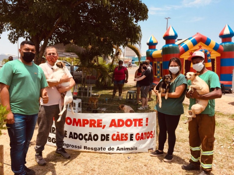 Feira de adoção de animais retoma atividades em Marília; conheça as regras