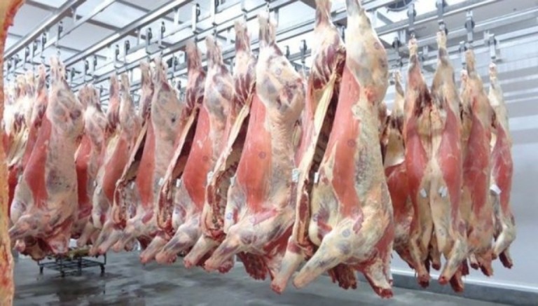 Ministério da Agricultura moderniza emissão de certificados sanitários para exportação