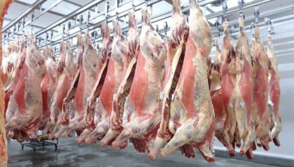 Ministério da Agricultura moderniza emissão de certificados sanitários para exportação