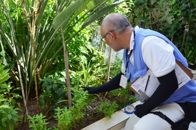 Marília tem 751 casos de dengue, agentes têm dificuldades em acessar casas