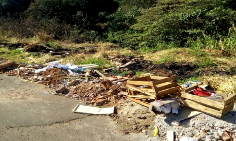 Voluntários querem recuperar área na periferia com árvores, horta e educação