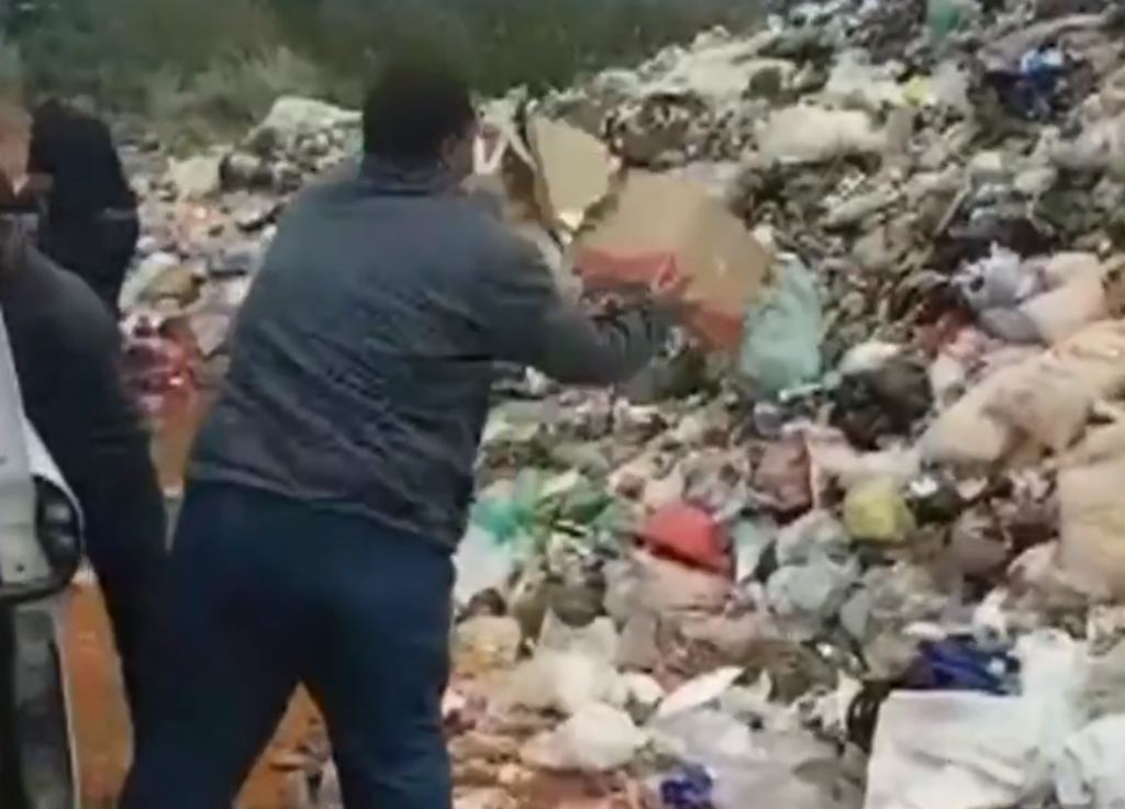 Garça descarta alimentos da merenda e aponta risco de contaminação por ratos Garça descarta alimentos da merenda e aponta risco de contaminação por ratos