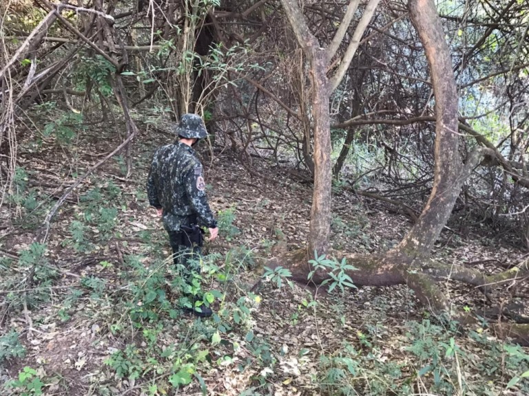 Polícia Ambiental multa fazenda de Marília em R$ 162 mil por danos em vegetação