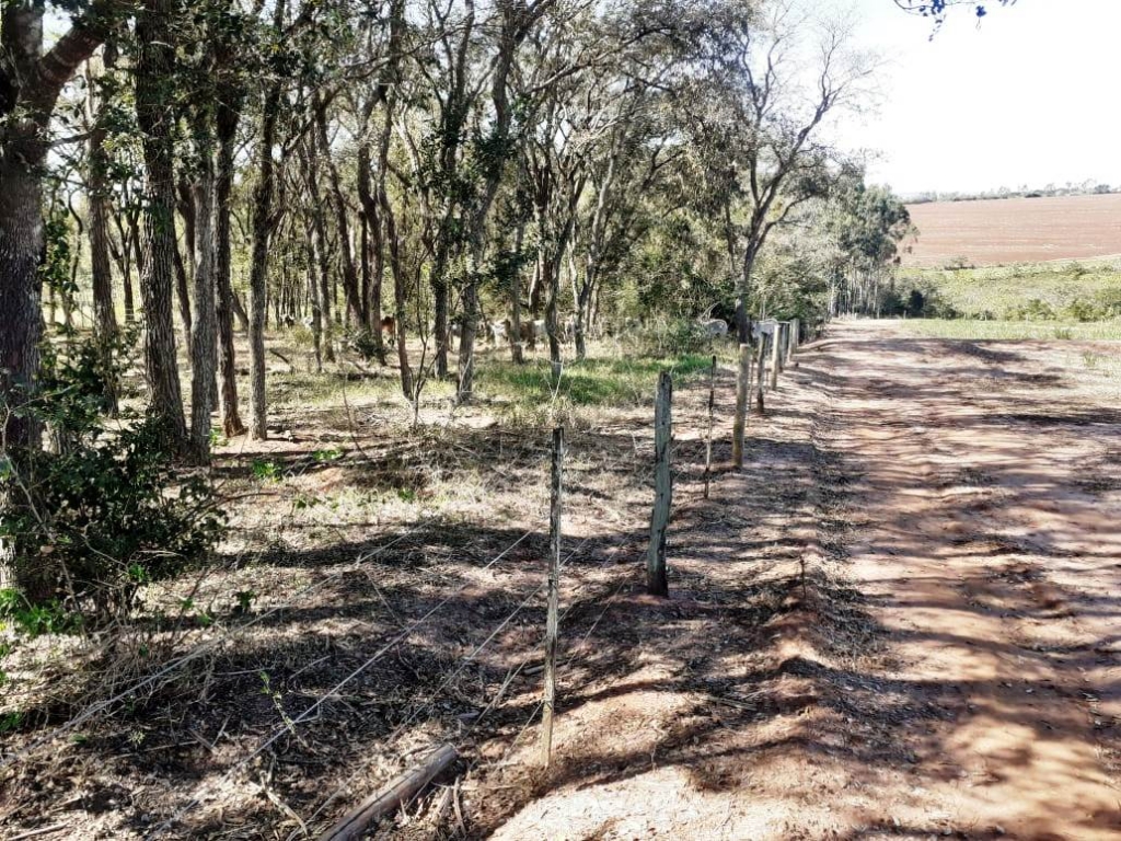 Operação da Ambiental em florestas multa fazendas na região: R$ 25.890