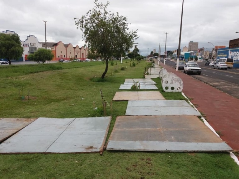 Conselho lança projetos para regular arborização e serviços oficiais em Marília