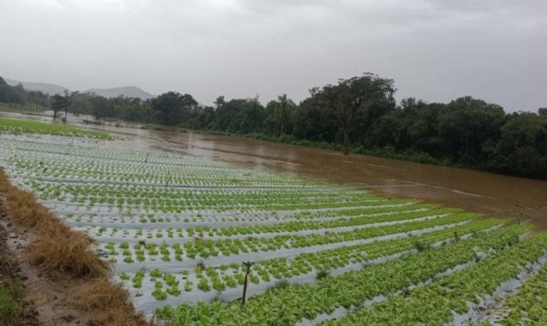 RS continua sofrendo com as cheias. Prejuízos no agro somam R$ 1,1 bilhão
