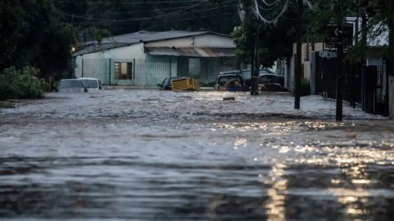 Agência Brasil Rio Grande do Sul investiga 800 casos suspeitos de leptospirose