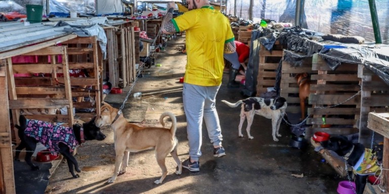 © Rafa Neddermeyer/Agência