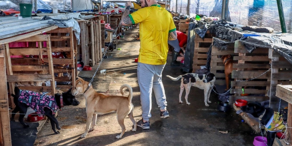 © Rafa Neddermeyer/Agência