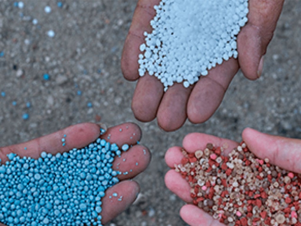 Produtores enfrentam alta de preços de fertilizantes importados: 56% Produtores enfrentam alta de preços de fertilizantes importados: 56%