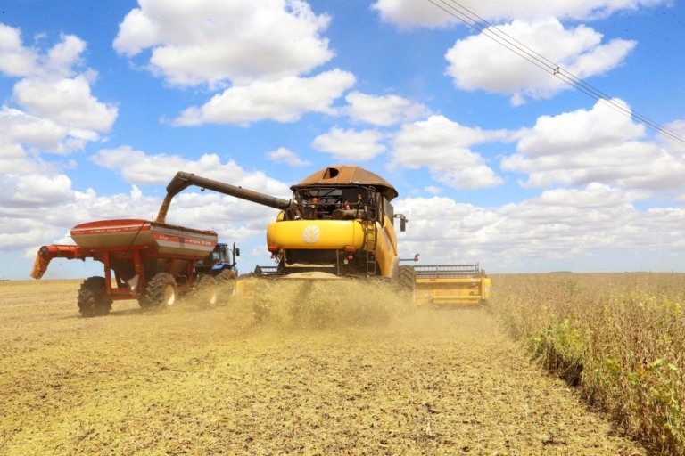 Falta de chuvas faz Mato Grosso ter a menor produtividade dos últimos cinco anos, diz Imea