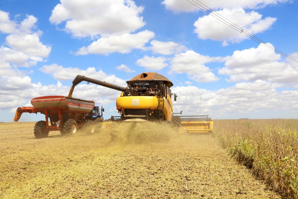 Falta de chuvas faz Mato Grosso ter a menor produtividade dos últimos cinco anos, diz Imea