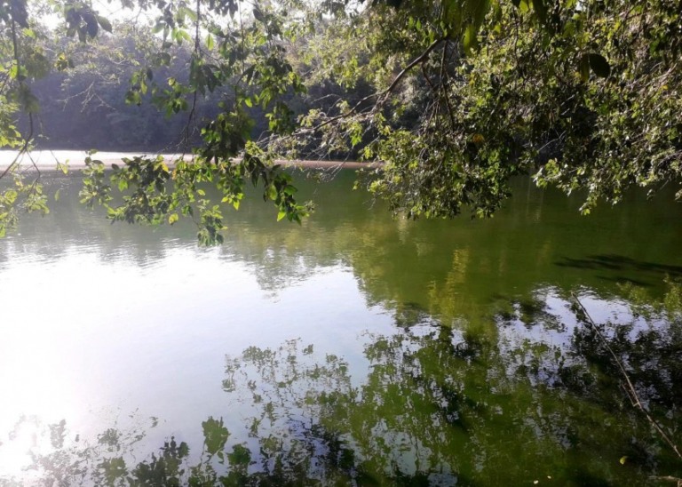 Lago do Bosque de Marília escolhido como nascente modelo para programa Verde Azul