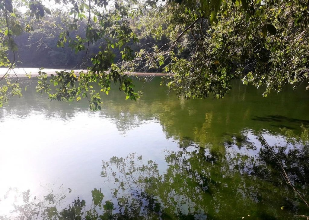 Lago do Bosque de Marília escolhido como nascente modelo para programa Verde Azul