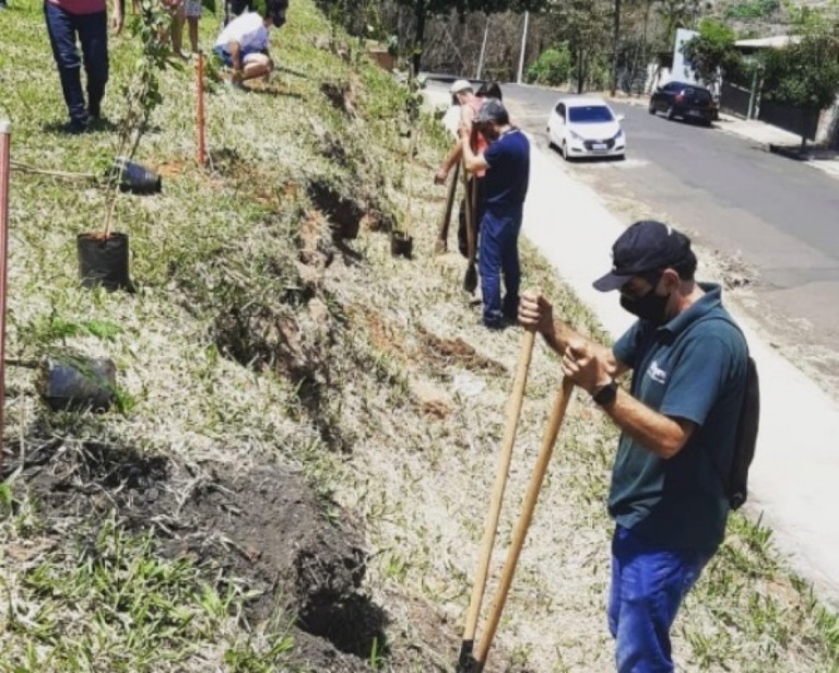 Plantio de novo bosque une moradores e ambientalistas no Altaneira