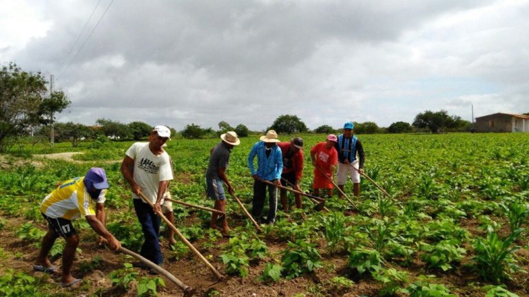 Pesquisa CNA mostra que agronegócio gerou 27% dos empregos em 2023