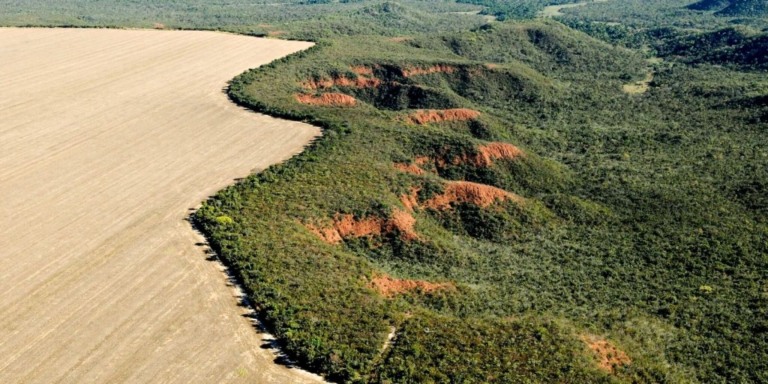 © Adriano Gambarini/WWF