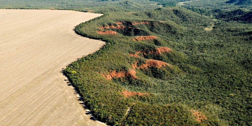© Adriano Gambarini/WWF © Adriano Gambarini/WWF