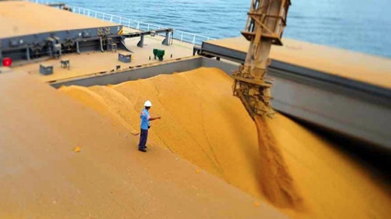Mercado de soja brasileiro mantém calma à espera do relatório do USDA, mas preços recuam